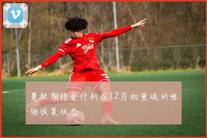 曼联期待舍什科在12月初重返训练场恢复状态