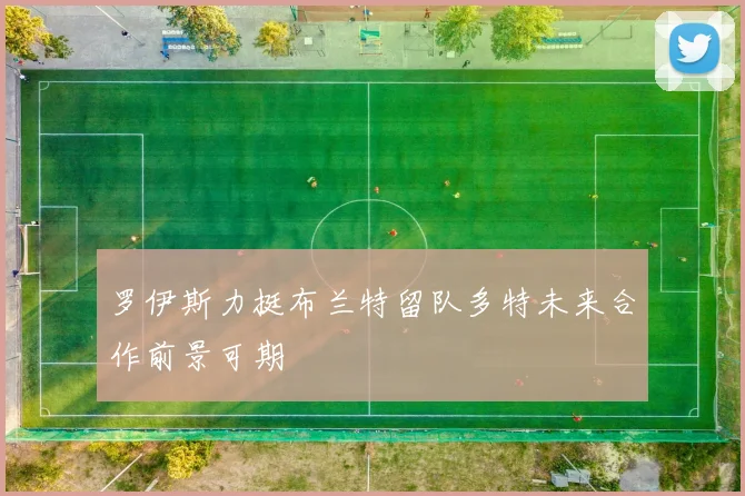 罗伊斯力挺布兰特留队多特未来合作前景可期